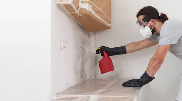 Professional Attic Mold Remediation technician working in Piscataway, NJ