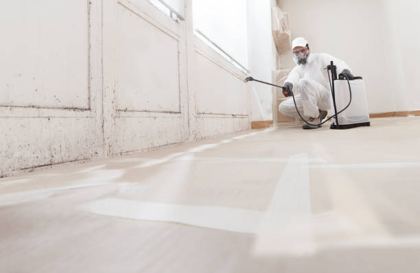 24/7 Emergency Attic Mold Remediation experts in Piscataway, NJ